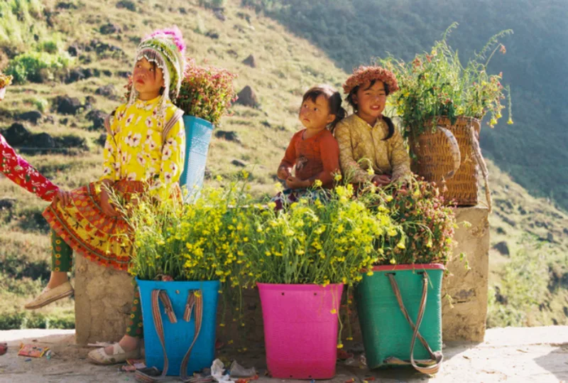 Mỗi tháng ở Hà Giang có điểm nhấn riêng, phù hợp với từng kiểu du lịch như săn hoa, ngắm lúa, chụp ảnh hoặc khám phá văn hóa.