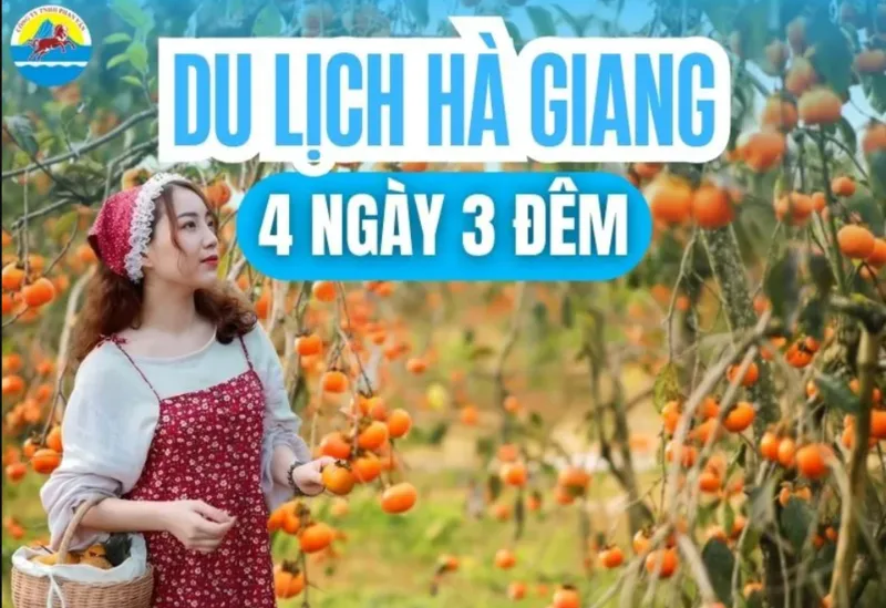 Lịch trình Hà Giang 4 ngày 3 đêm phù hợp với người đi lần đầu, đủ thời gian khám phá các điểm nổi bật mà không quá vội.