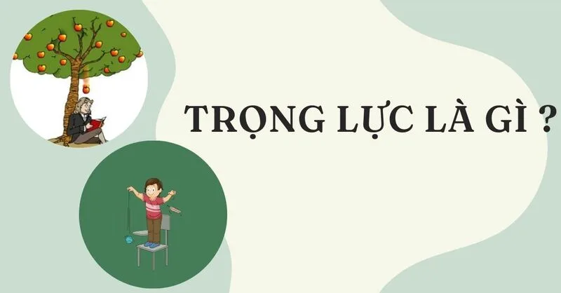 Trọng lực chính là lực hút của Trái Đất lên các vật có khối lượng, giúp con người, nước, không khí và sinh vật tồn tại trên bề mặt hành tinh của chúng ta.